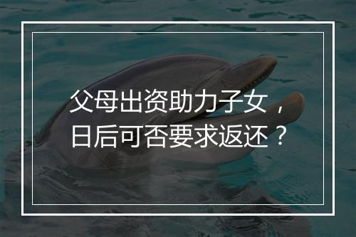 父母出资助力子女，日后可否要求返还？