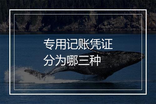 专用记账凭证分为哪三种