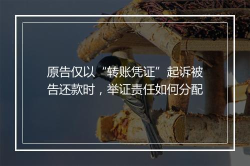 原告仅以“转账凭证”起诉被告还款时，举证责任如何分配