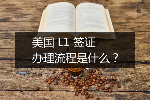 美国 L1 签证办理流程是什么？