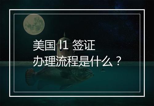 美国 l1 签证办理流程是什么？