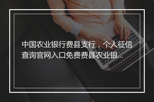 中国农业银行费县支行，个人征信查询官网入口免费费县农业银行