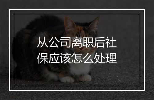 从公司离职后社保应该怎么处理