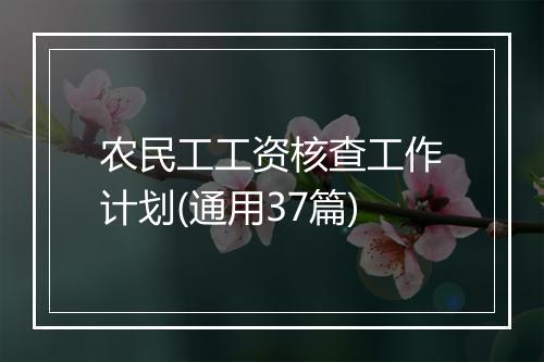 农民工工资核查工作计划(通用37篇)