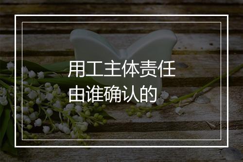 用工主体责任由谁确认的