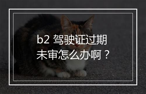 b2 驾驶证过期未审怎么办啊？
