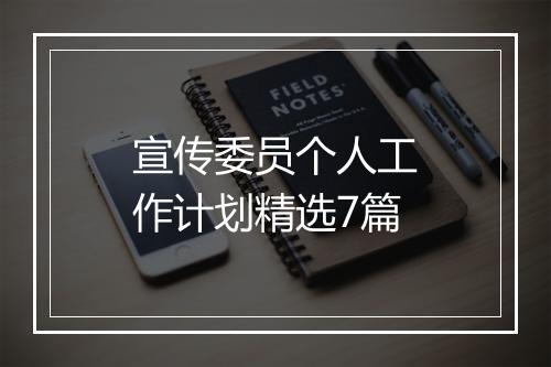 宣传委员个人工作计划精选7篇