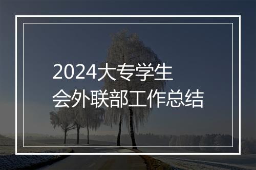 2024大专学生会外联部工作总结
