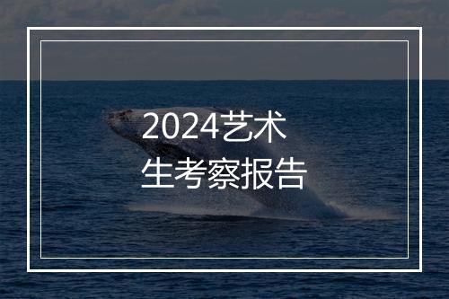 2024艺术生考察报告