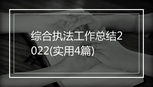 综合执法工作总结2022(实用4篇)