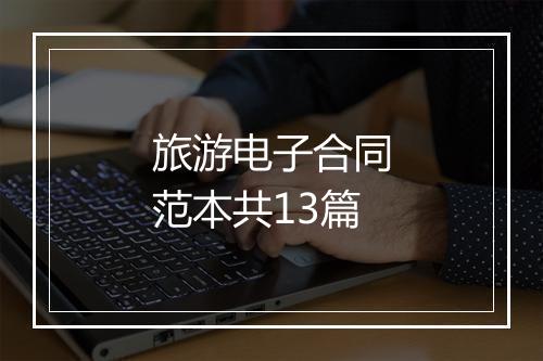 旅游电子合同范本共13篇
