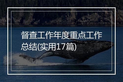 督查工作年度重点工作总结(实用17篇)