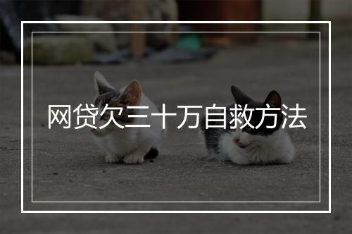 网贷欠三十万自救方法