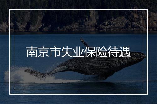 南京市失业保险待遇