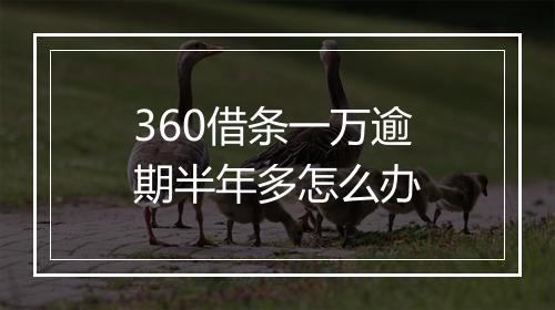 360借条一万逾期半年多怎么办