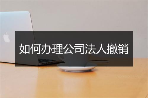 如何办理公司法人撤销