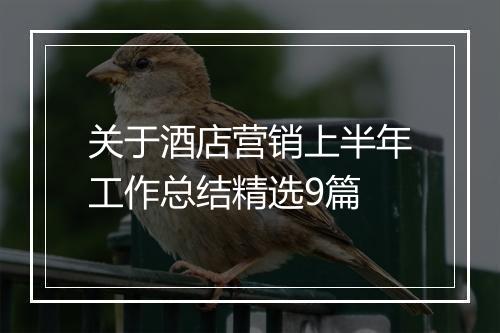 关于酒店营销上半年工作总结精选9篇