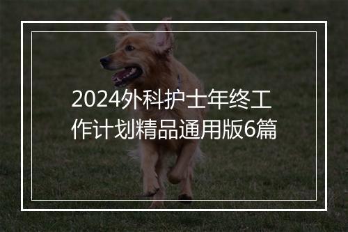 2024外科护士年终工作计划精品通用版6篇