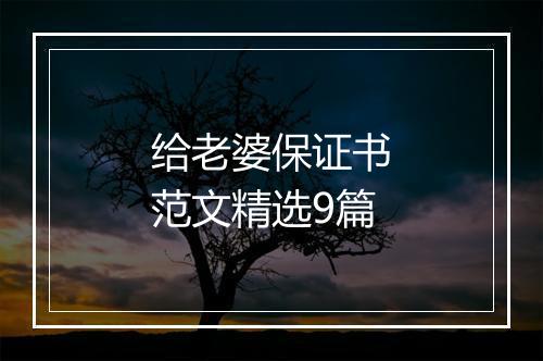 给老婆保证书范文精选9篇