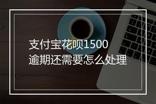 支付宝花呗1500逾期还需要怎么处理