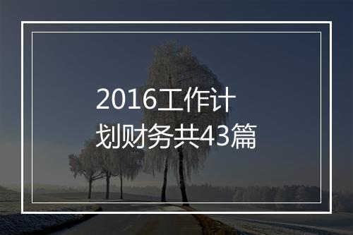2016工作计划财务共43篇
