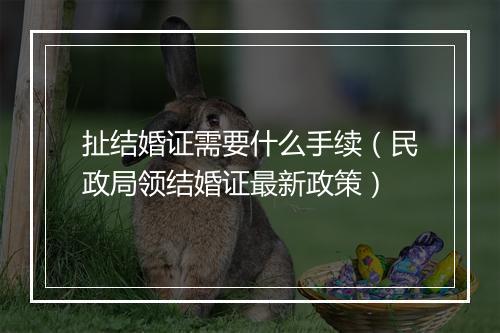 扯结婚证需要什么手续（民政局领结婚证最新政策）