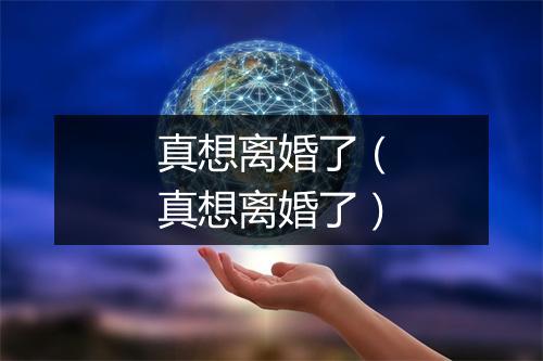 真想离婚了（真想离婚了）