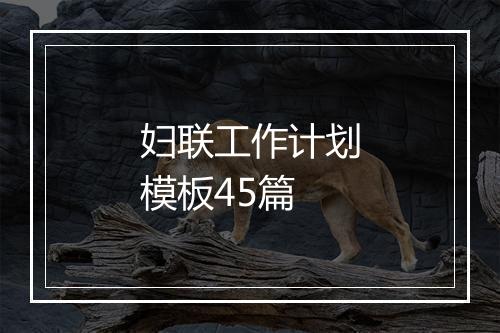 妇联工作计划模板45篇