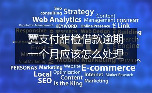 翼支付甜橙借款逾期一个月应该怎么处理
