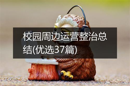 校园周边运营整治总结(优选37篇)