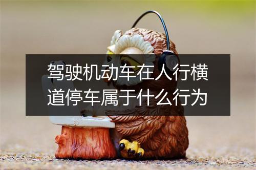 驾驶机动车在人行横道停车属于什么行为