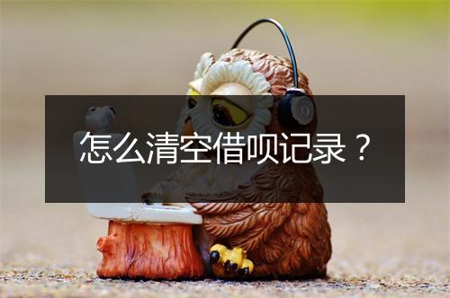 怎么清空借呗记录？