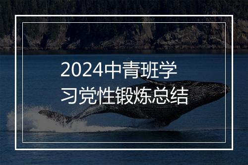 2024中青班学习党性锻炼总结