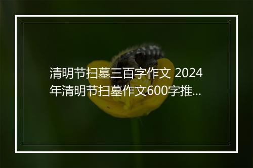 清明节扫墓三百字作文 2024年清明节扫墓作文600字推荐合集11篇