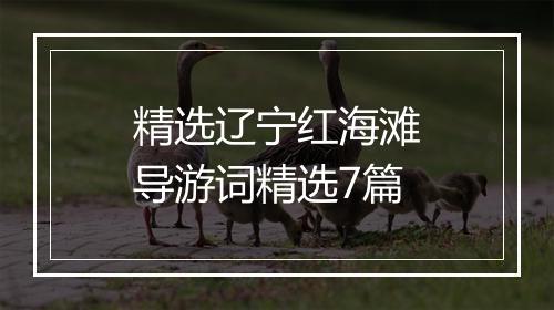 精选辽宁红海滩导游词精选7篇