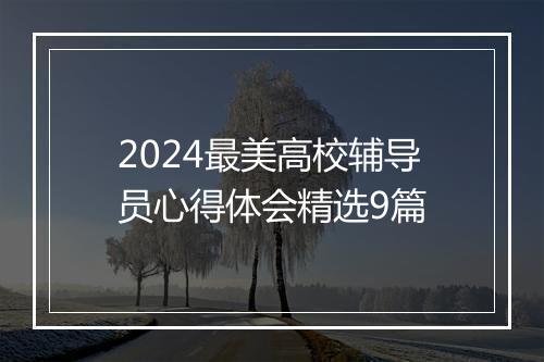 2024最美高校辅导员心得体会精选9篇