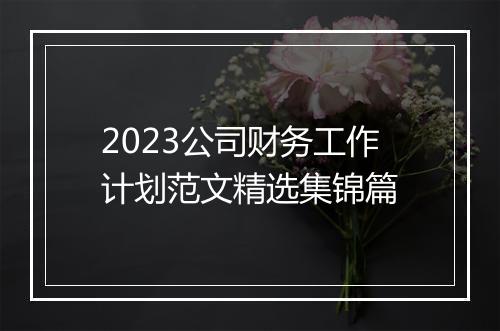 2023公司财务工作计划范文精选集锦篇
