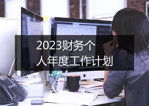 2023财务个人年度工作计划