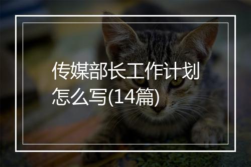 传媒部长工作计划怎么写(14篇)