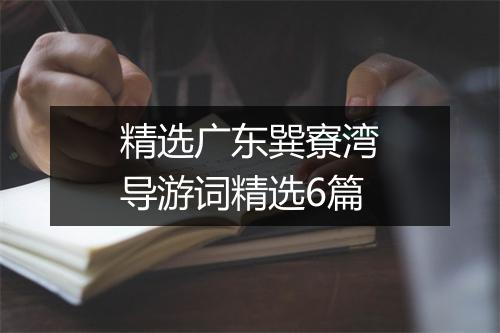 精选广东巽寮湾导游词精选6篇