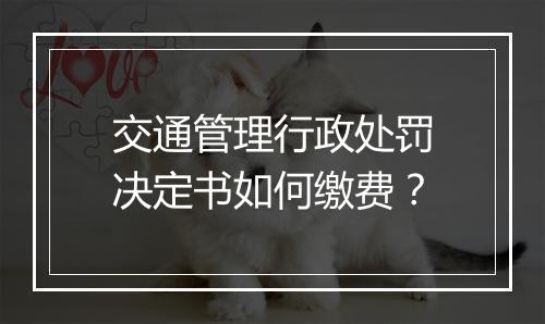 交通管理行政处罚决定书如何缴费？