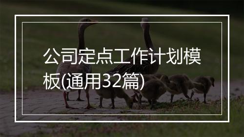 公司定点工作计划模板(通用32篇)