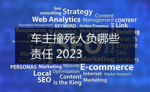 车主撞死人负哪些责任 2023