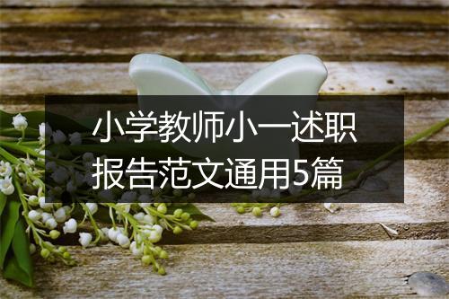 小学教师小一述职报告范文通用5篇