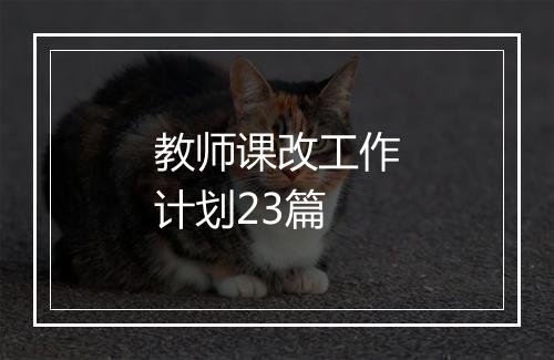 教师课改工作计划23篇
