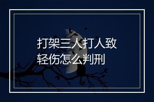 打架三人打人致轻伤怎么判刑