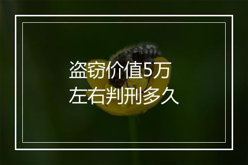 盗窃价值5万左右判刑多久