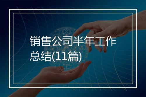 销售公司半年工作总结(11篇)