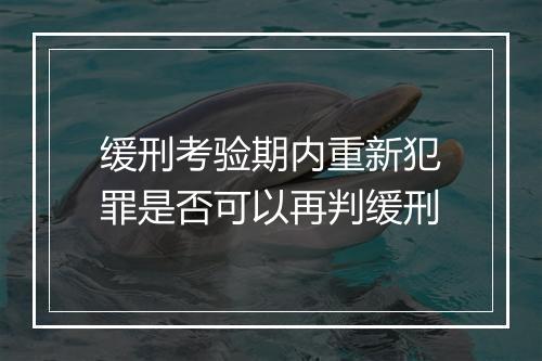 缓刑考验期内重新犯罪是否可以再判缓刑