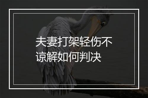 夫妻打架轻伤不谅解如何判决